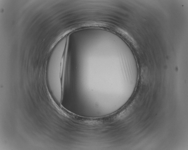 X0000081491033200702021918