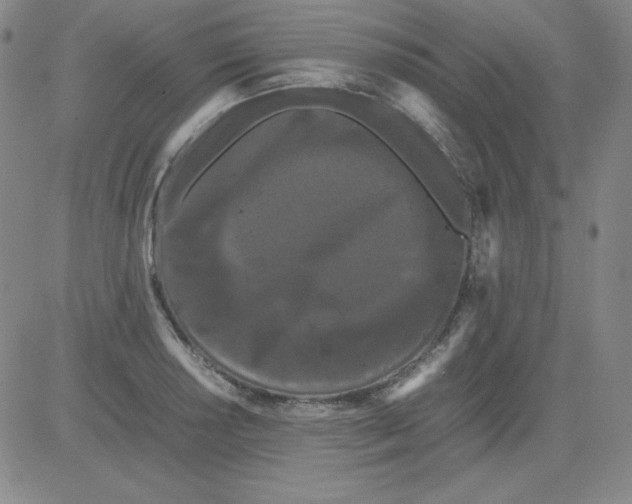 X0000081491034200702021918