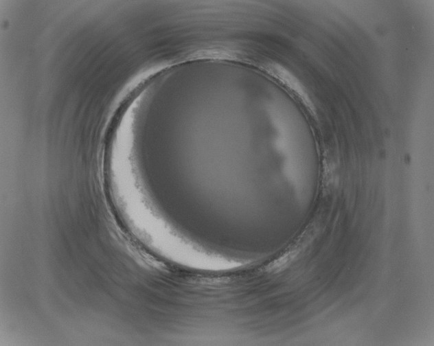 X0000081491035200702021918