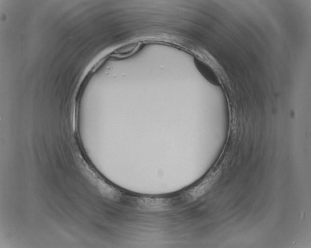 X0000081491036200702021918