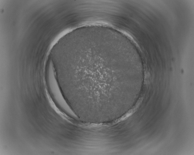 X0000081491038200702021918