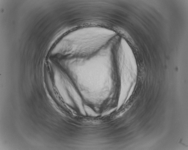 X0000081491039200702021918