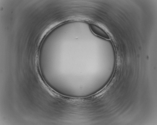 X0000081491040200702021918