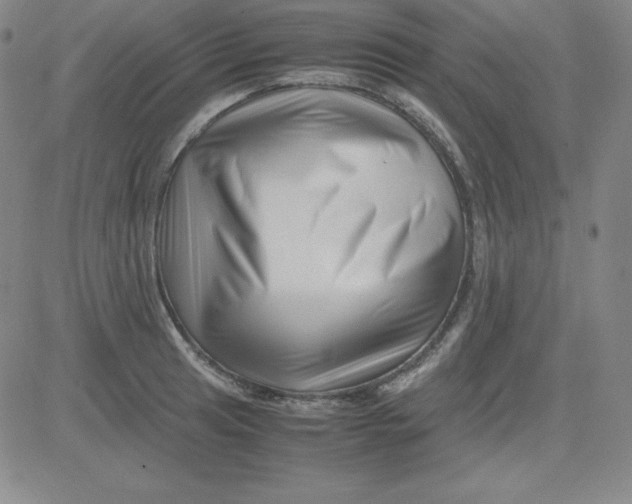 X0000081491041200702021918