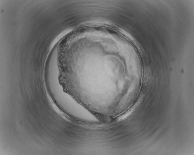 X0000081491042200702021918