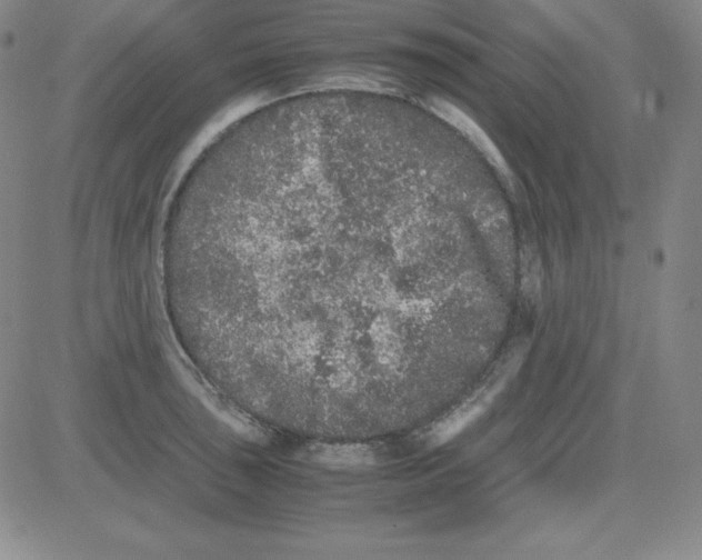 X0000081491043200702021918