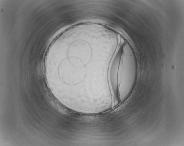 X0000081491044200702021918