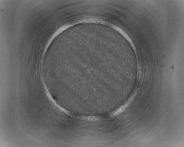 X0000081491045200702021918