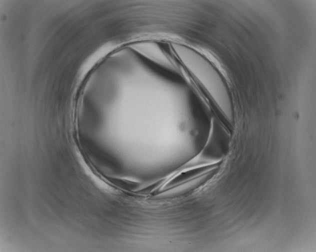 X0000081491046200702021918