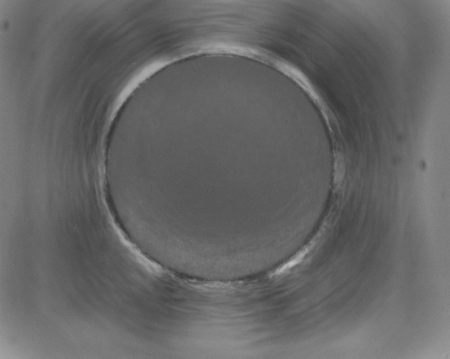 X0000081491048200702021918