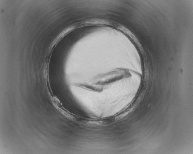 X0000081491049200702021918