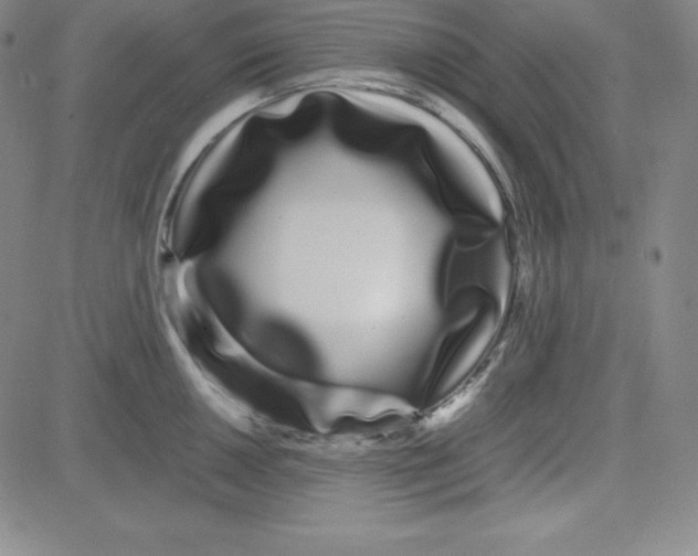 X0000081491050200702021918