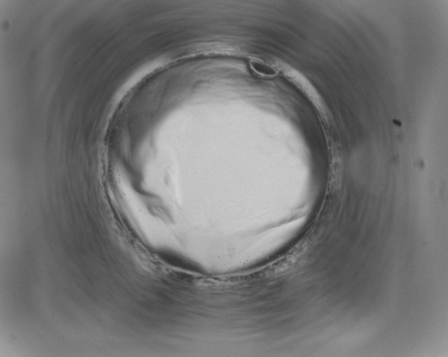 X0000081491051200702021918