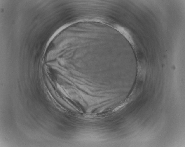 X0000081491052200702021918