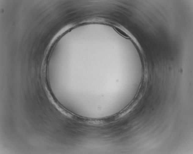 X0000081491053200702021918