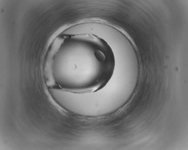 X0000081491054200702021918