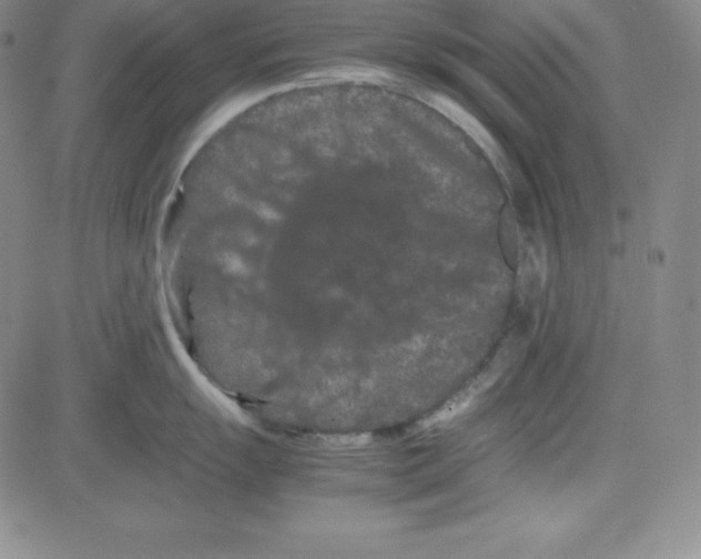 X0000081491055200702021918