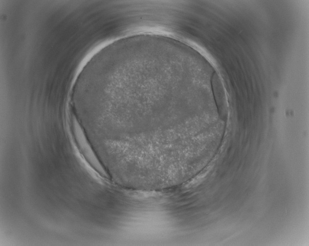 X0000081491056200702021918