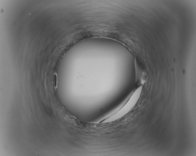 X0000081491057200702021917