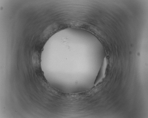 X0000081491058200702021917