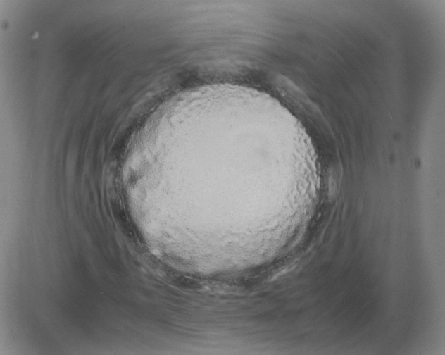 X0000081491059200702021917