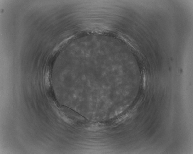 X0000081491060200702021917