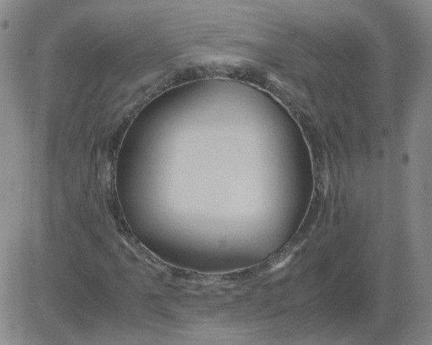 X0000081491061200702021917