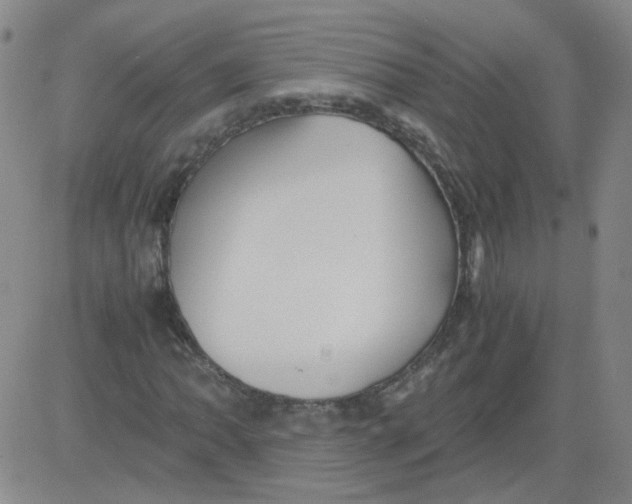 X0000081491062200702021917