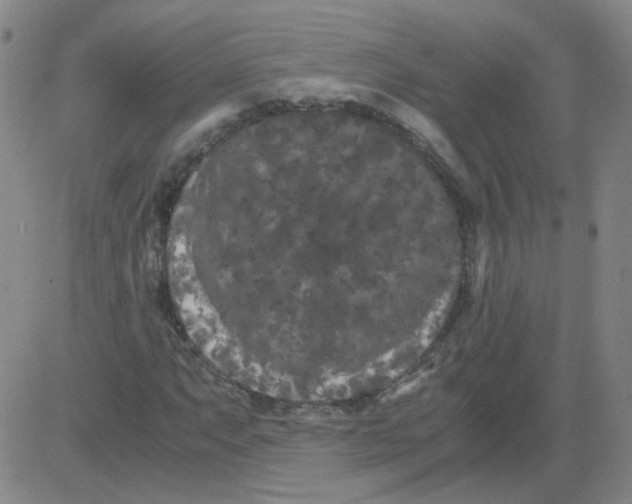 X0000081491063200702021917