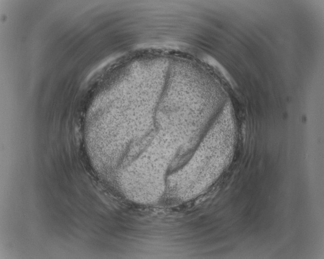 X0000081491064200702021917