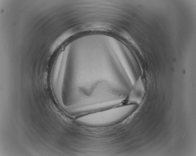 X0000081491066200702021917