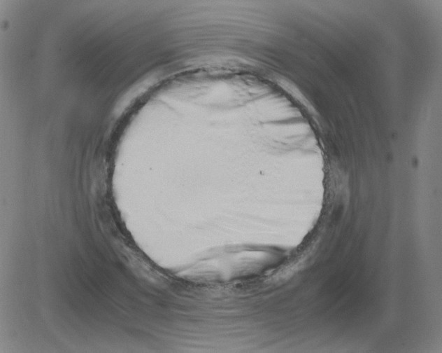 X0000081491067200702021917