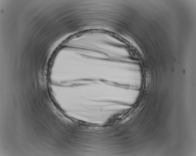 X0000081491068200702021917