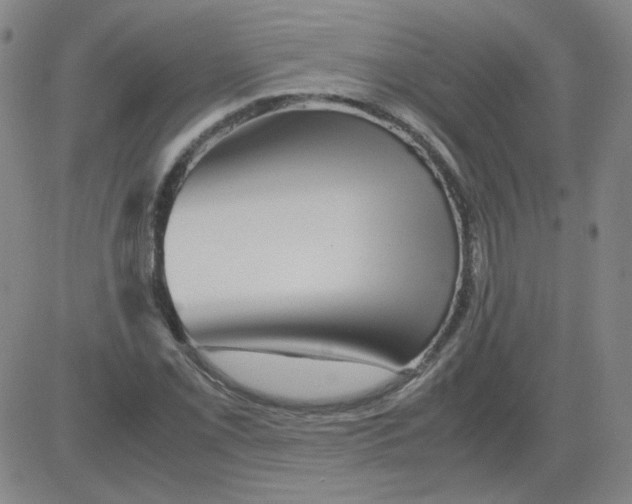 X0000081491069200702021917