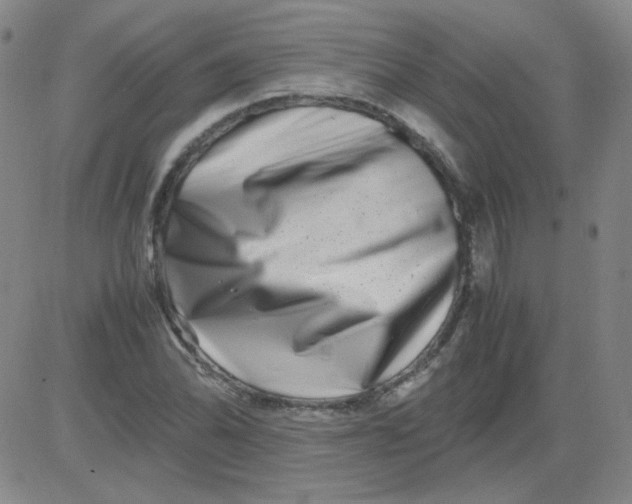 X0000081491070200702021917