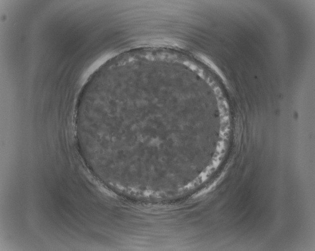 X0000081491071200702021917