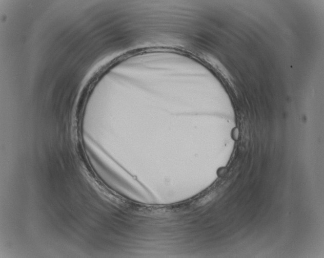 X0000081491072200702021917