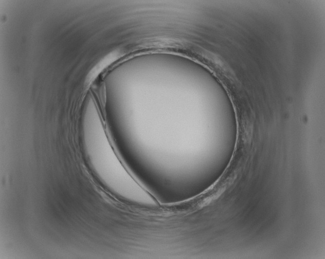 X0000081491073200702021917