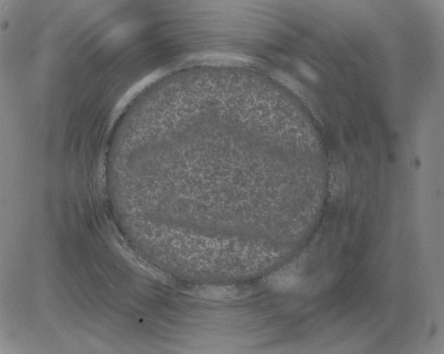 X0000081491074200702021917