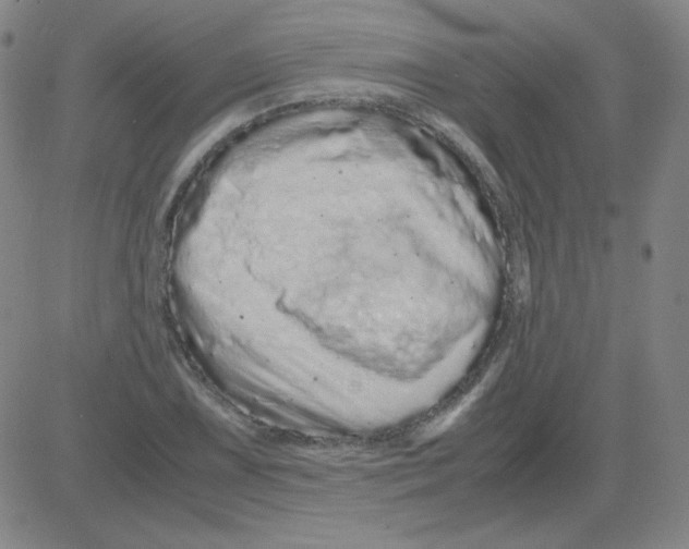 X0000081491075200702021917