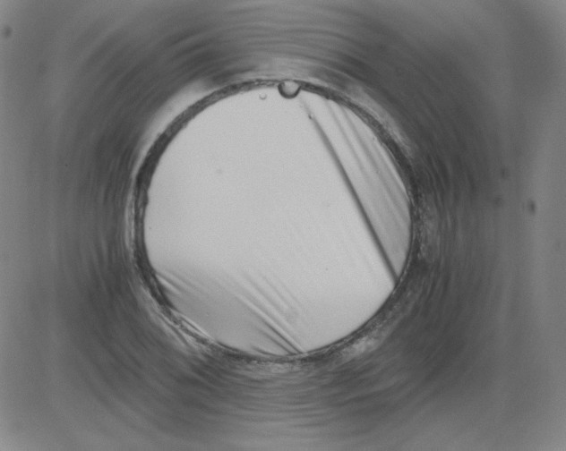 X0000081491076200702021917