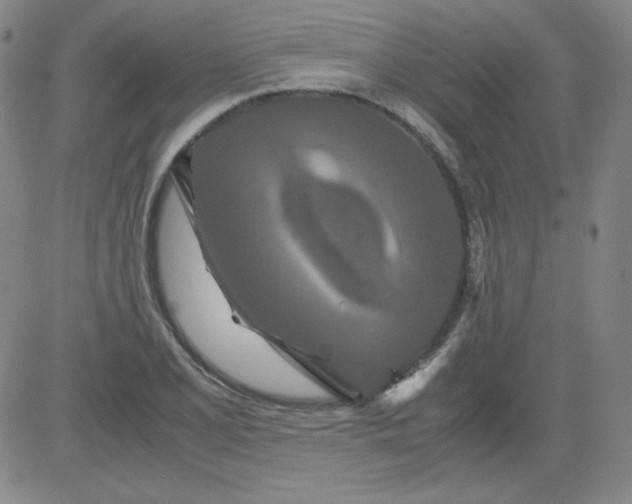 X0000081491077200702021917