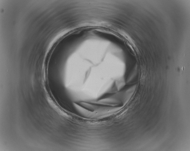 X0000081491080200702021917