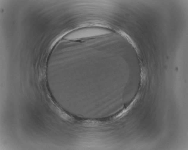 X0000081491081200702021917