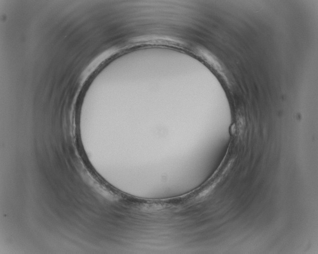 X0000081491082200702021917