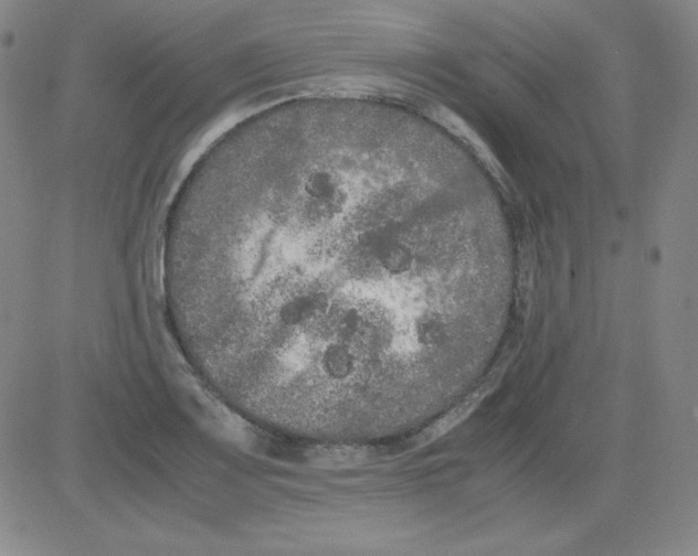 X0000081491083200702021917