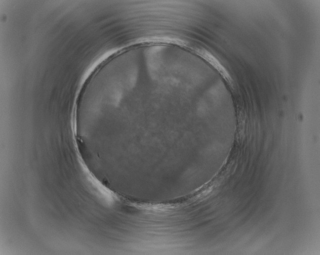 X0000081491084200702021917