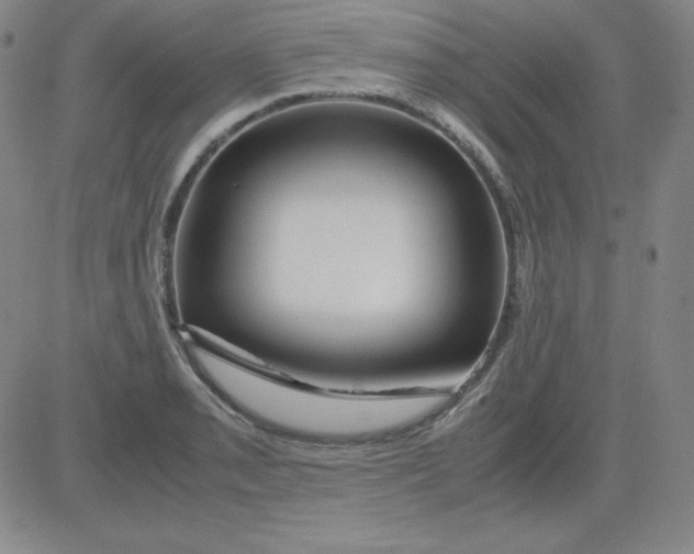 X0000081491085200702021917