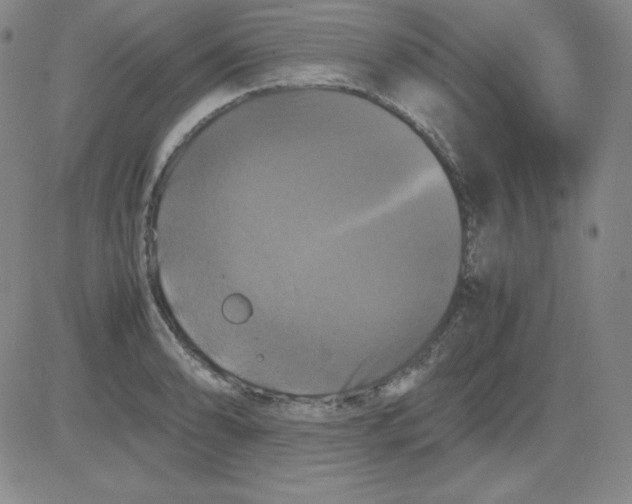 X0000081491086200702021917