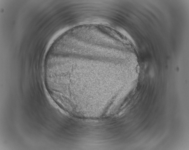 X0000081491088200702021917